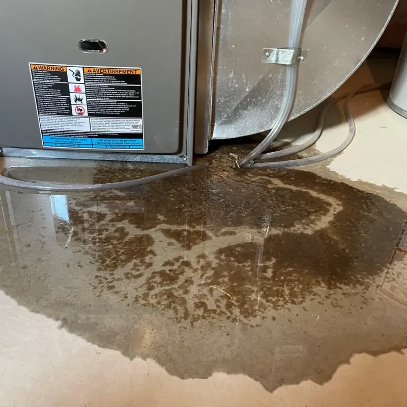 Appliance Leak Cleanup in Springfield, MA